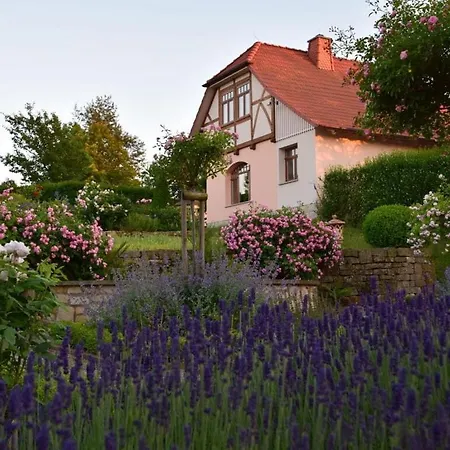 Hotell Taubenberg 3*